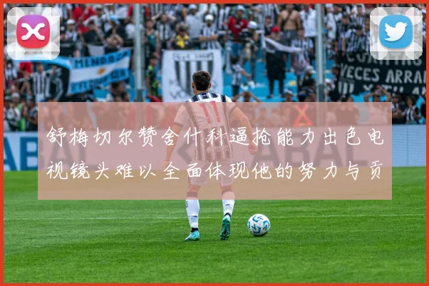 舒梅切尔赞舍什科逼抢能力出色电视镜头难以全面体现他的努力与贡献